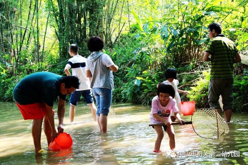 Tom的最新动态，探索无限可能