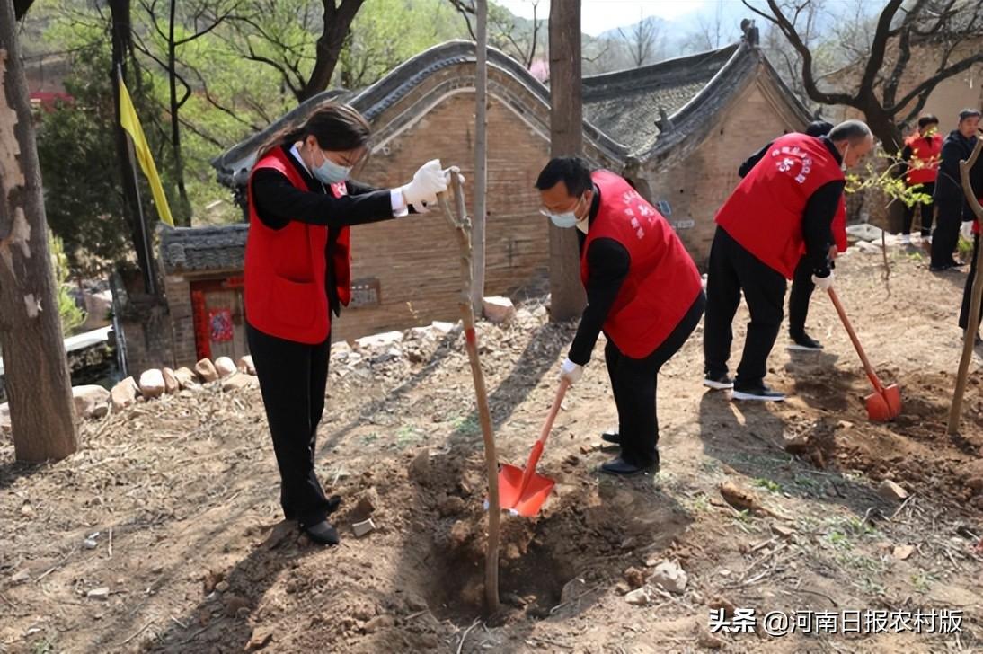 张嘉若晨 第11页