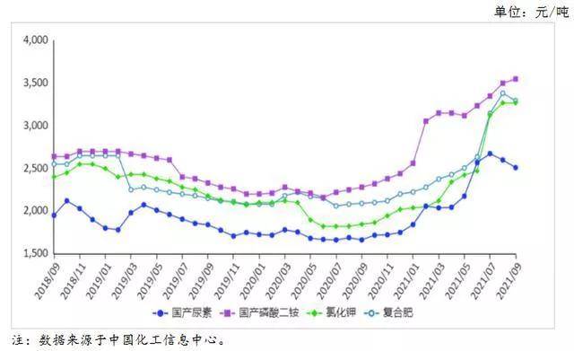 今日最新大蒜价格，市场走势与影响因素分析