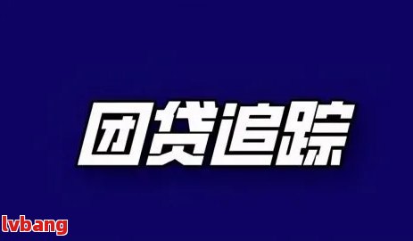 团贷最新消息全面解析