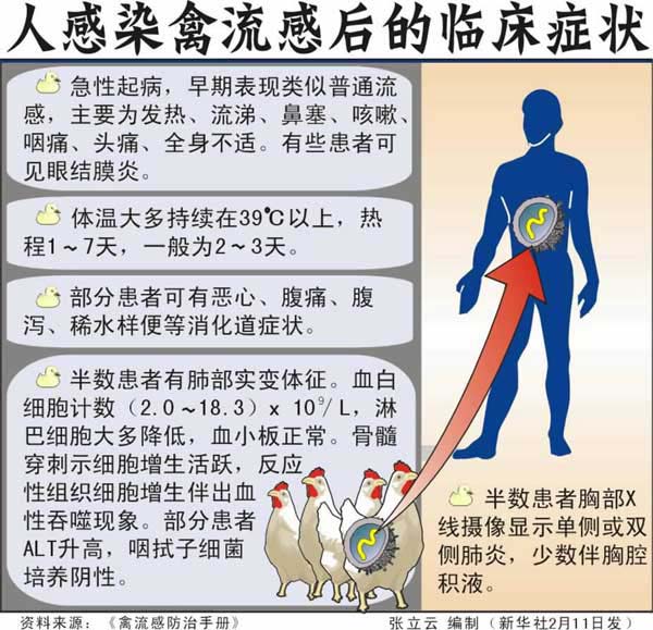 H7N9最新消息，全球关注下的禽流感动态